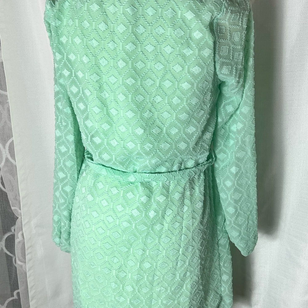 ANTHROPOLOGY BIRDCAGE BELTED SHIFT DRESS SM MINT TEXTURED FABRIC SHEER SLEEVES - Picture 3 of 13